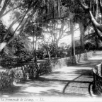 La Promenade de L&eacute;tang (Auj. Ibn Badis)